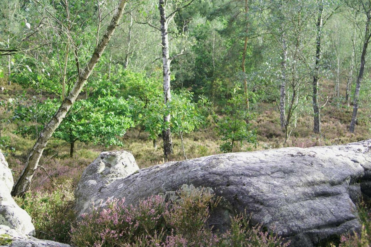 Le Lodge Des Bruyeres Mont-Notre-Dame Exteriör bild