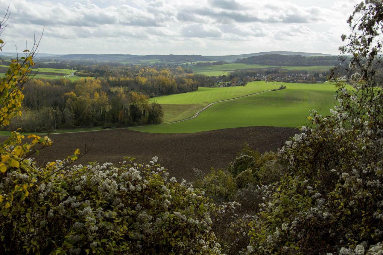 Le Lodge Des Bruyeres Mont-Notre-Dame Exteriör bild